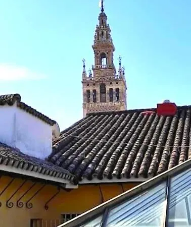 Conteros Centro Sevilla